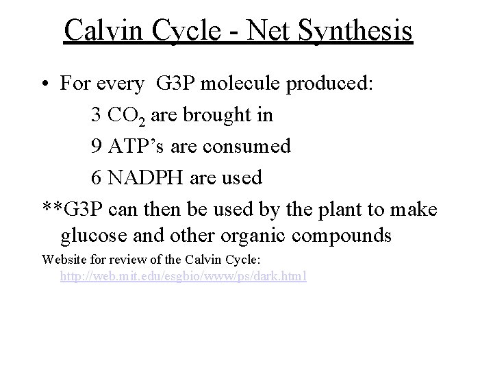 Calvin Cycle - Net Synthesis • For every G 3 P molecule produced: 3 Calvin Cycle - Net Synthesis • For every G 3 P molecule produced: 3