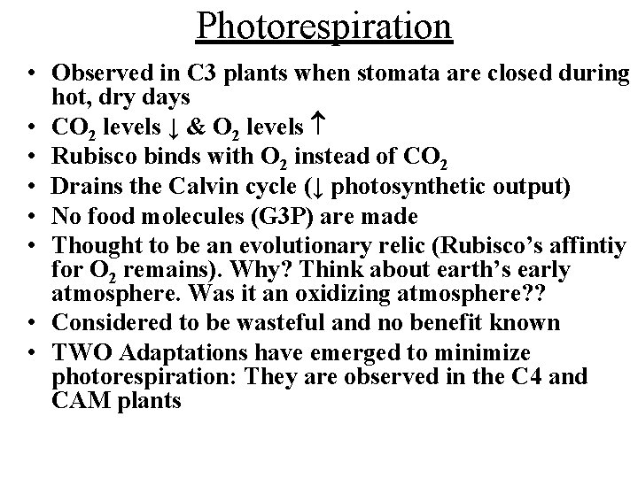 Photorespiration • Observed in C 3 plants when stomata are closed during hot, dry Photorespiration • Observed in C 3 plants when stomata are closed during hot, dry
