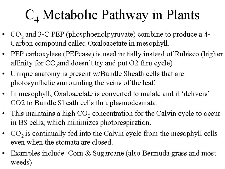 C 4 Metabolic Pathway in Plants • CO 2 and 3 -C PEP (phosphoenolpyruvate) C 4 Metabolic Pathway in Plants • CO 2 and 3 -C PEP (phosphoenolpyruvate)