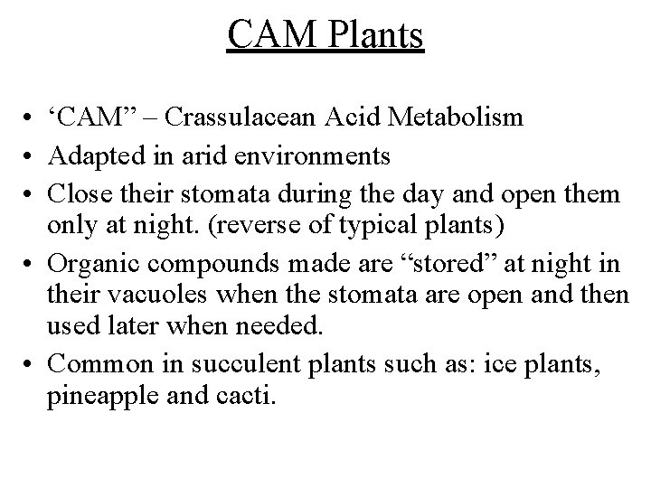 CAM Plants • ‘CAM” – Crassulacean Acid Metabolism • Adapted in arid environments • CAM Plants • ‘CAM” – Crassulacean Acid Metabolism • Adapted in arid environments •