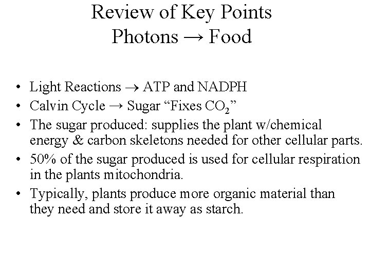 Review of Key Points Photons → Food • Light Reactions ATP and NADPH • Review of Key Points Photons → Food • Light Reactions ATP and NADPH •