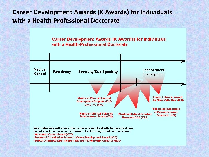 Career Development Awards (K Awards) for Individuals with a Health-Professional Doctorate 