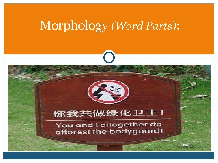 Morphology (Word Parts): 