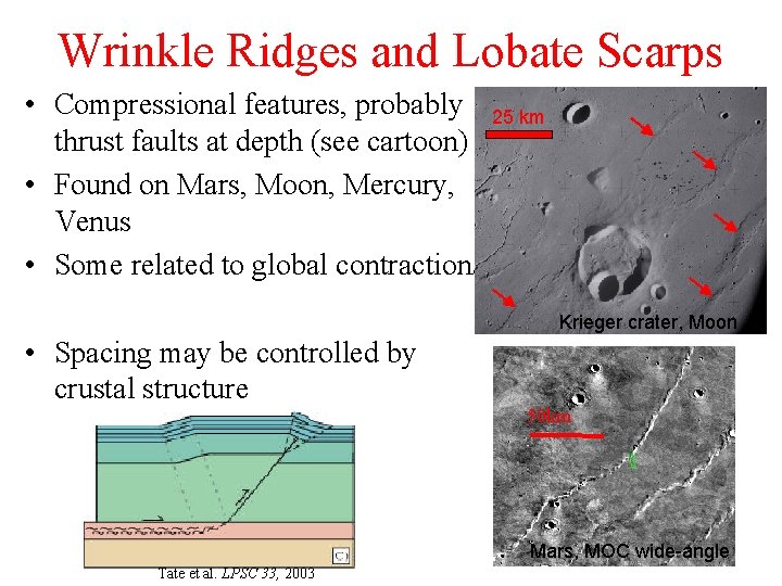 Wrinkle Ridges and Lobate Scarps • Compressional features, probably thrust faults at depth (see