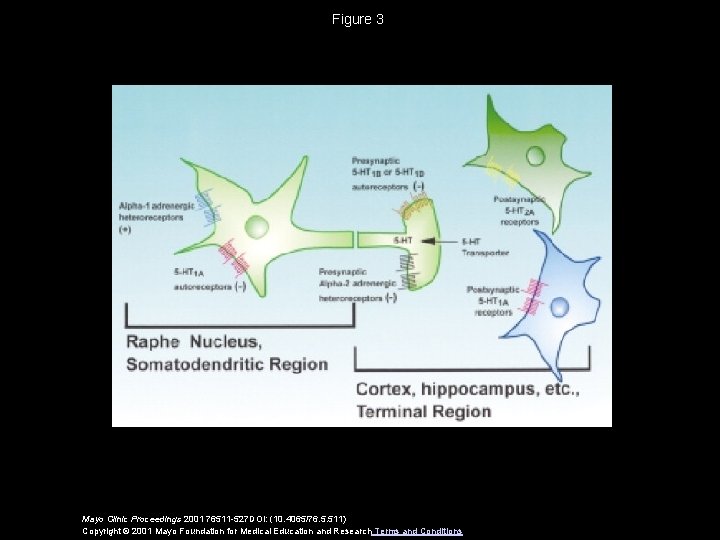Figure 3 Mayo Clinic Proceedings 2001 76511 -527 DOI: (10. 4065/76. 5. 511) Copyright
