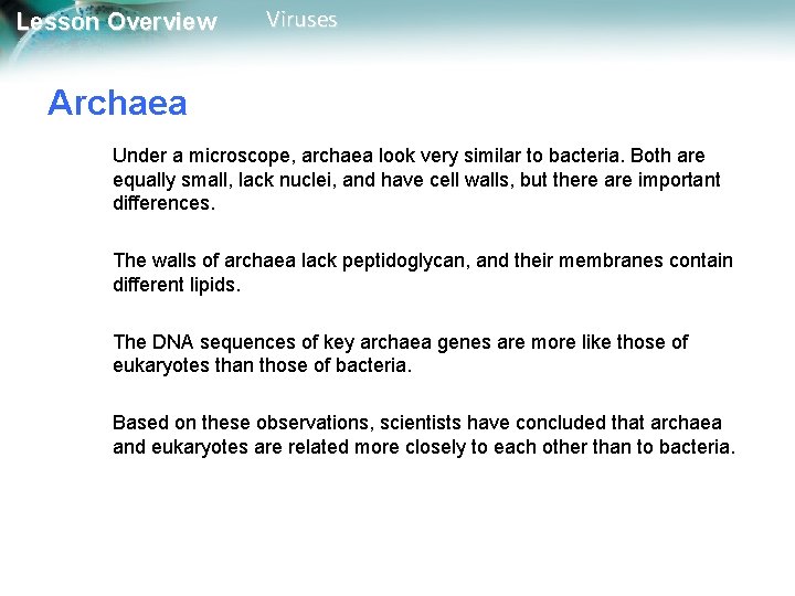 Lesson Overview Viruses Archaea Under a microscope, archaea look very similar to bacteria. Both