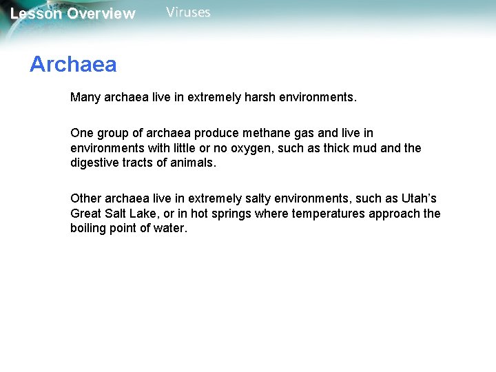 Lesson Overview Viruses Archaea Many archaea live in extremely harsh environments. One group of