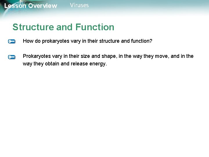 Lesson Overview Viruses Structure and Function How do prokaryotes vary in their structure and