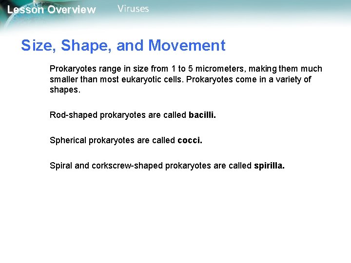 Lesson Overview Viruses Size, Shape, and Movement Prokaryotes range in size from 1 to