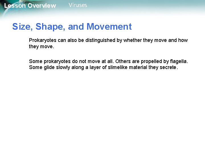 Lesson Overview Viruses Size, Shape, and Movement Prokaryotes can also be distinguished by whether