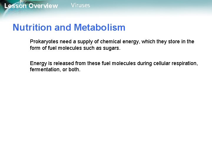 Lesson Overview Viruses Nutrition and Metabolism Prokaryotes need a supply of chemical energy, which