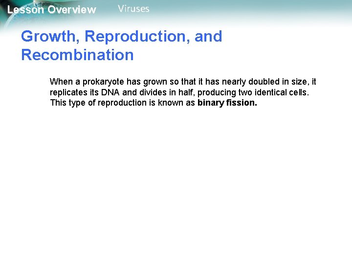 Lesson Overview Viruses Growth, Reproduction, and Recombination When a prokaryote has grown so that