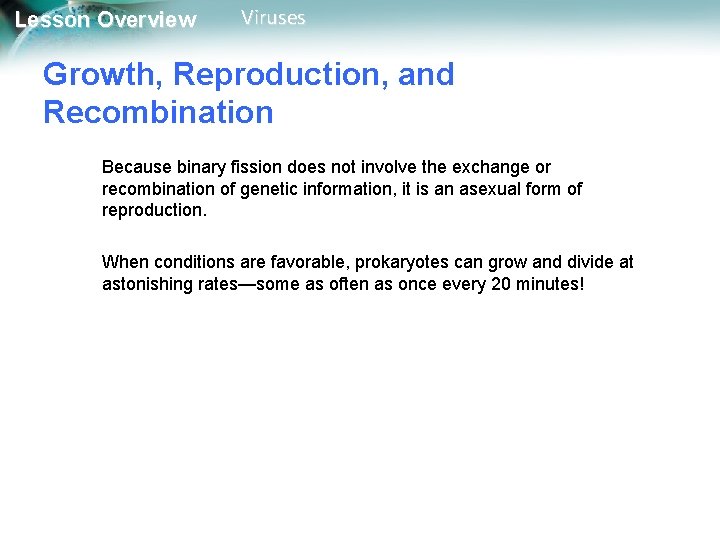 Lesson Overview Viruses Growth, Reproduction, and Recombination Because binary fission does not involve the