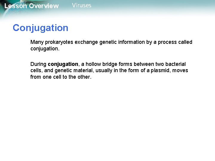 Lesson Overview Viruses Conjugation Many prokaryotes exchange genetic information by a process called conjugation.