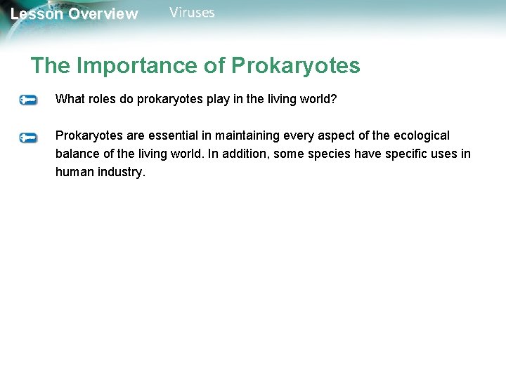Lesson Overview Viruses The Importance of Prokaryotes What roles do prokaryotes play in the