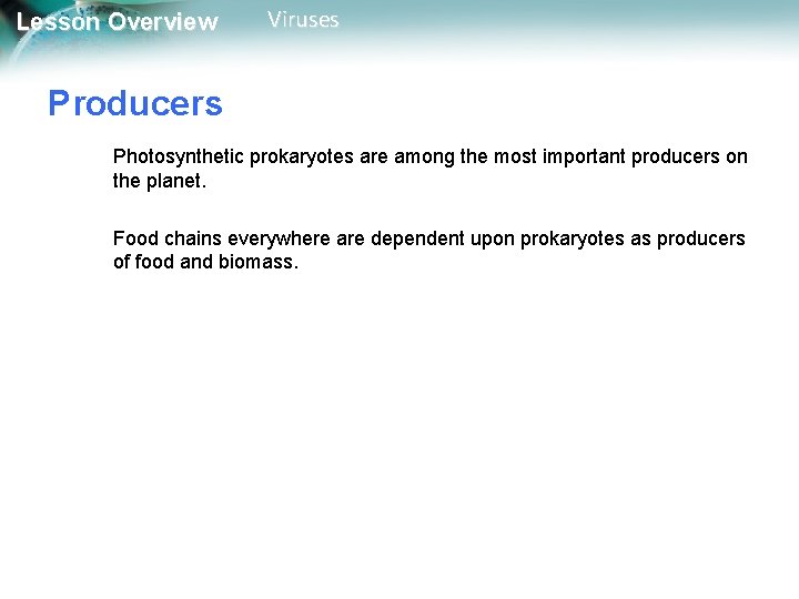 Lesson Overview Viruses Producers Photosynthetic prokaryotes are among the most important producers on the