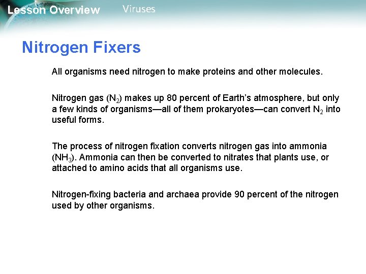 Lesson Overview Viruses Nitrogen Fixers All organisms need nitrogen to make proteins and other