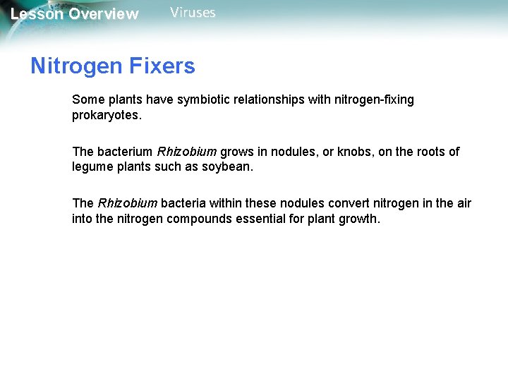 Lesson Overview Viruses Nitrogen Fixers Some plants have symbiotic relationships with nitrogen-fixing prokaryotes. The