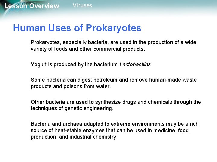 Lesson Overview Viruses Human Uses of Prokaryotes, especially bacteria, are used in the production