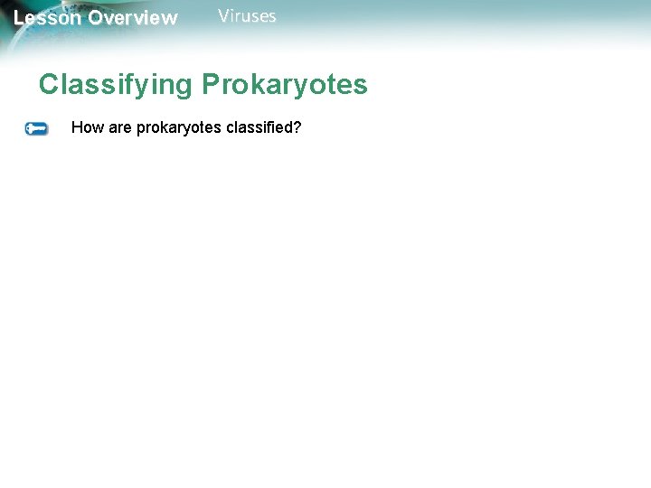 Lesson Overview Viruses Classifying Prokaryotes How are prokaryotes classified? 