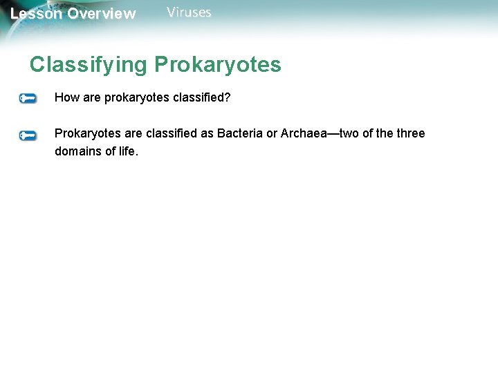 Lesson Overview Viruses Classifying Prokaryotes How are prokaryotes classified? Prokaryotes are classified as Bacteria