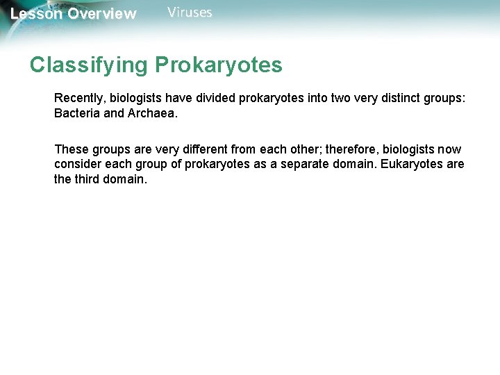 Lesson Overview Viruses Classifying Prokaryotes Recently, biologists have divided prokaryotes into two very distinct