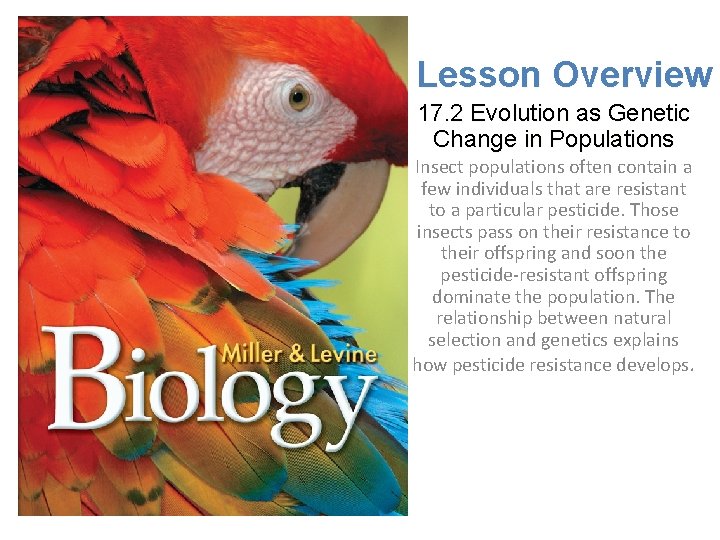 Lesson Overview 17. 2 Evolution as Genetic Change in Populations Insect populations often contain