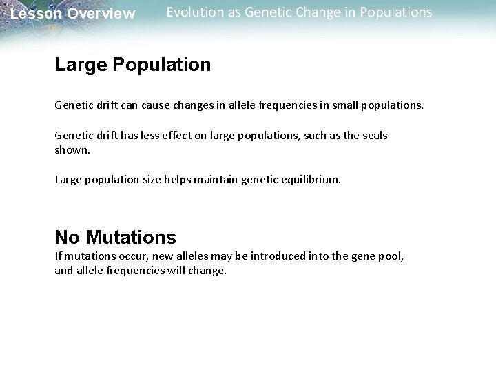 Lesson Overview Evolution as Genetic Change in Populations Large Population Genetic drift can cause