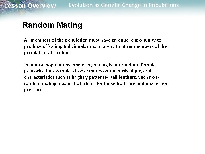 Lesson Overview Evolution as Genetic Change in Populations Random Mating All members of the