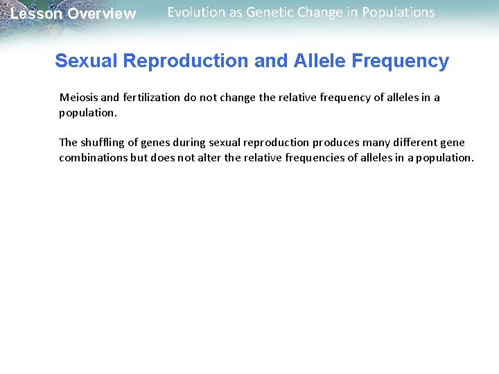 Lesson Overview Evolution as Genetic Change in Populations Sexual Reproduction and Allele Frequency Meiosis