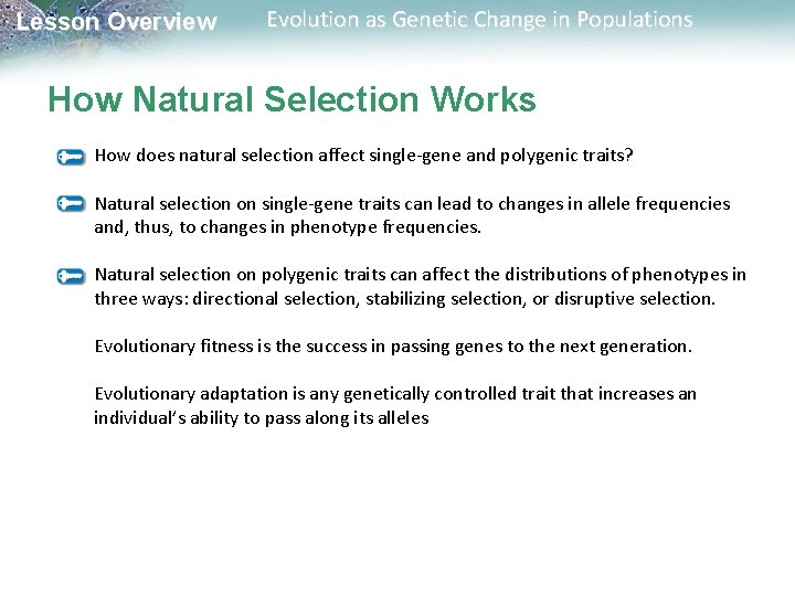 Lesson Overview Evolution as Genetic Change in Populations How Natural Selection Works How does