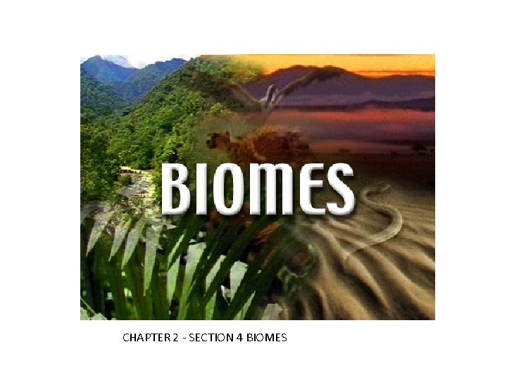 CHAPTER 2 - SECTION 4 BIOMES 