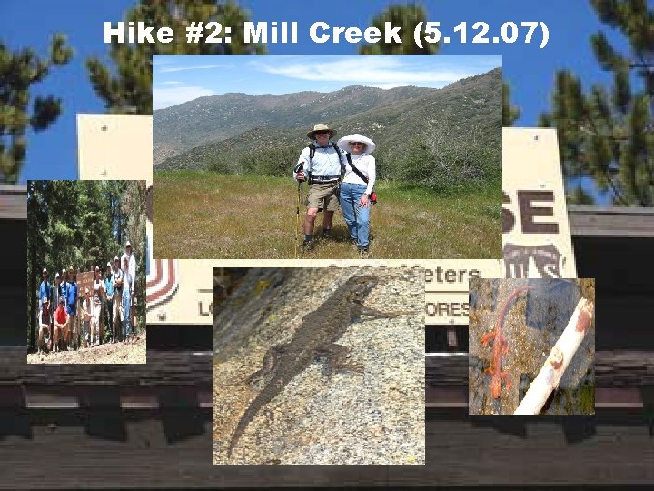 Hike #2: Mill Creek (5. 12. 07) 