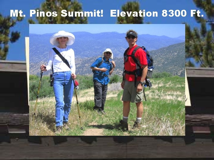 Mt. Pinos Summit! Elevation 8300 Ft. 