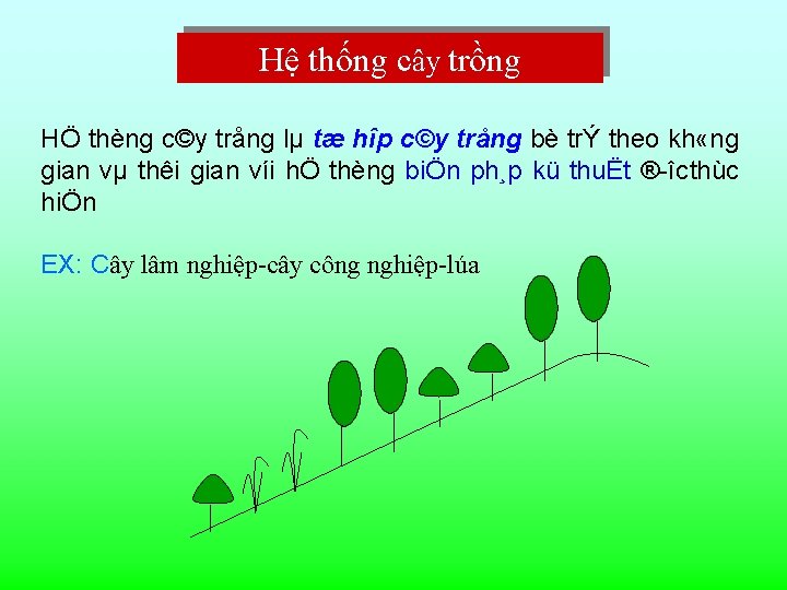 Hệ thống cây trồng HÖ thèng c©y trång lµ tæ hîp c©y trång bè