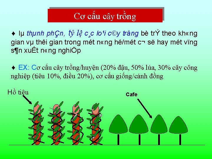 Cơ cấu cây trồng ¨ lµ thµnh phÇn, tỷ lệ c¸c lo¹i c©y trång