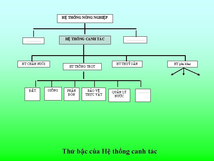 HỆ THỐNG NÔNG NGHIỆP HỆ THỐNG CANH TÁC . . HT CHĂN NUÔI ĐẤT