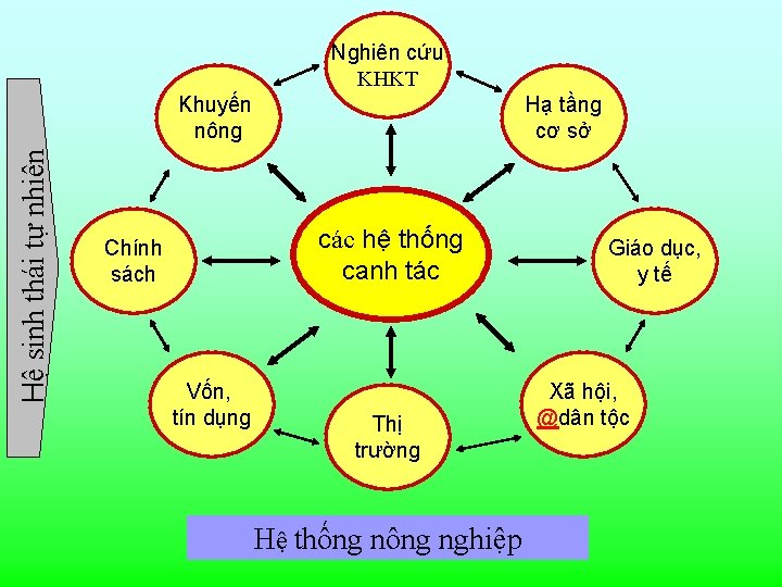 Hệ sinh thái tự nhiên Nghiên cứu KHKT Khuyến nông Hạ tầng cơ sở