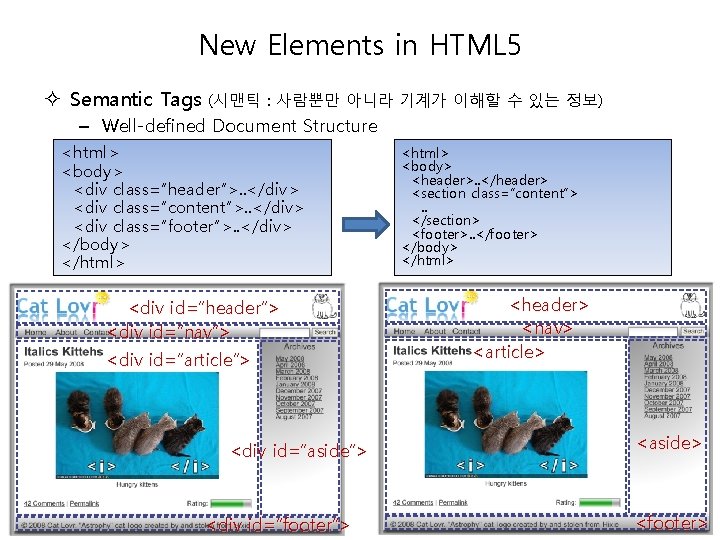 New Elements in HTML 5 Semantic Tags (시맨틱 : 사람뿐만 아니라 기계가 이해할 수