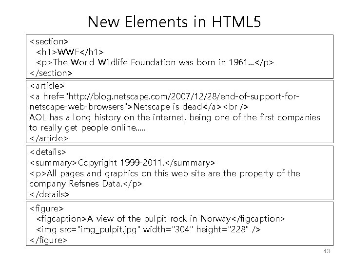 New Elements in HTML 5 <section> <h 1>WWF</h 1> <p>The World Wildlife Foundation was
