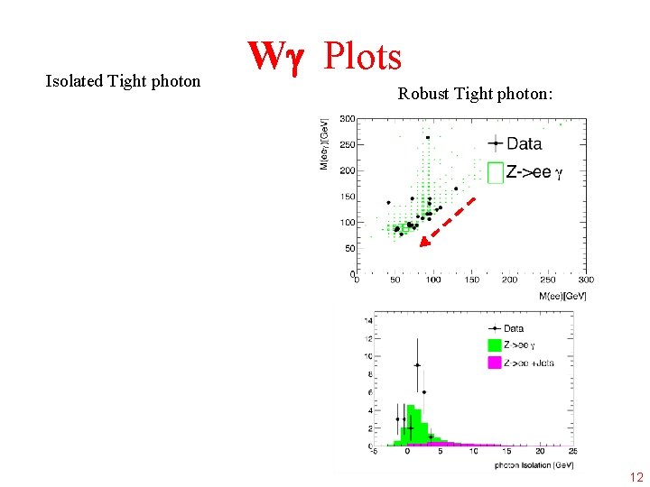 Isolated Tight photon W Plots Robust Tight photon: 12 