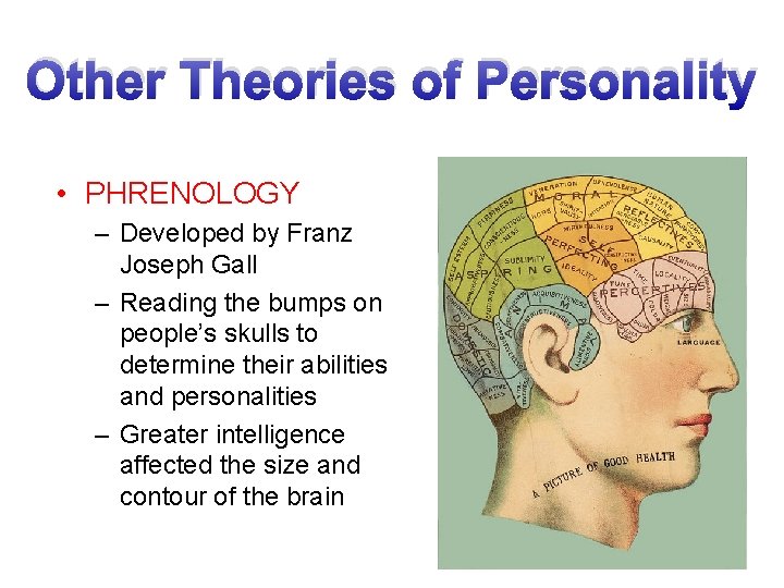 Other Theories of Personality • PHRENOLOGY – Developed by Franz Joseph Gall – Reading