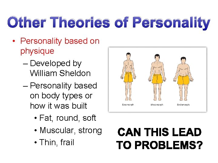 Other Theories of Personality • Personality based on physique – Developed by William Sheldon