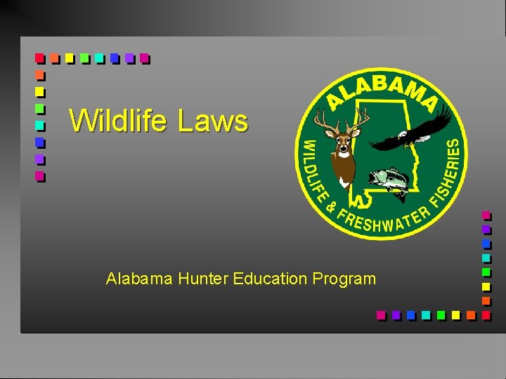 Wildlife Laws Alabama Hunter Education Program 