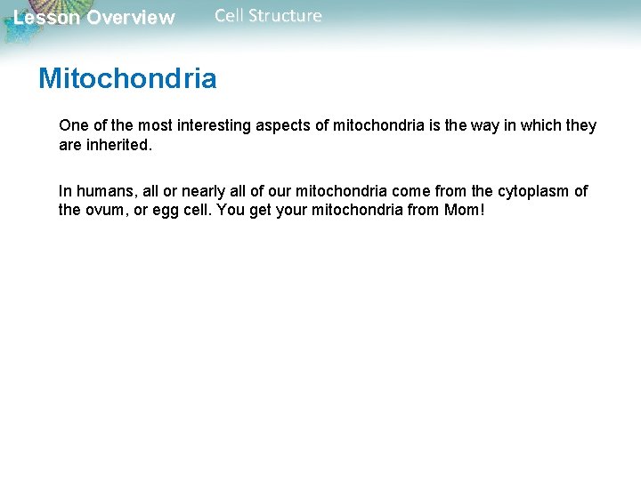 Lesson Overview Cell Structure Mitochondria One of the most interesting aspects of mitochondria is Lesson Overview Cell Structure Mitochondria One of the most interesting aspects of mitochondria is