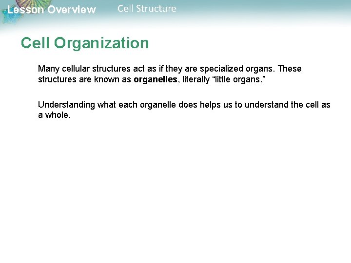 Lesson Overview Cell Structure Cell Organization Many cellular structures act as if they are Lesson Overview Cell Structure Cell Organization Many cellular structures act as if they are