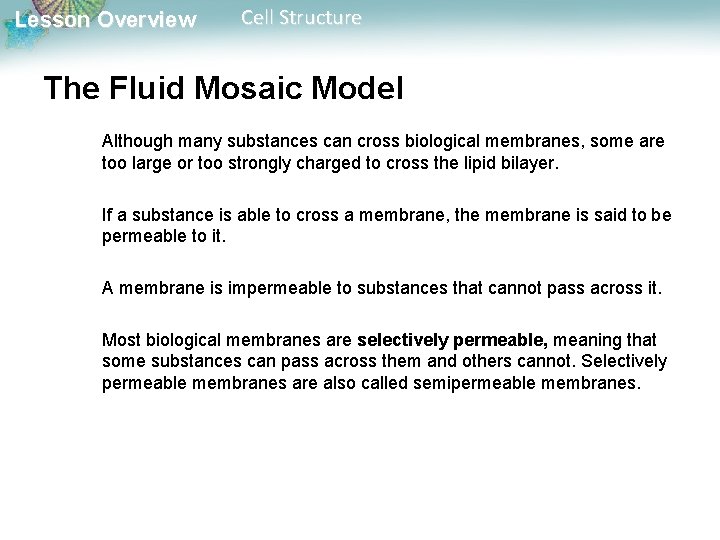 Lesson Overview Cell Structure The Fluid Mosaic Model Although many substances can cross biological Lesson Overview Cell Structure The Fluid Mosaic Model Although many substances can cross biological