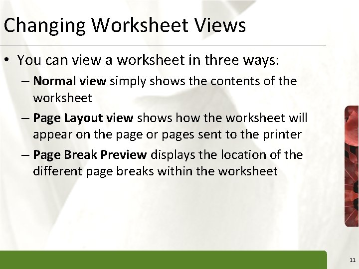 Changing Worksheet Views XP • You can view a worksheet in three ways: –