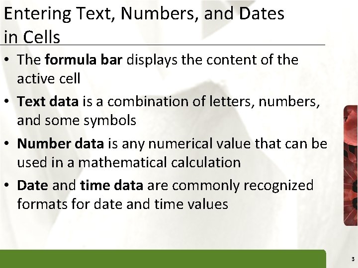 Entering Text, Numbers, and Dates in Cells XP • The formula bar displays the
