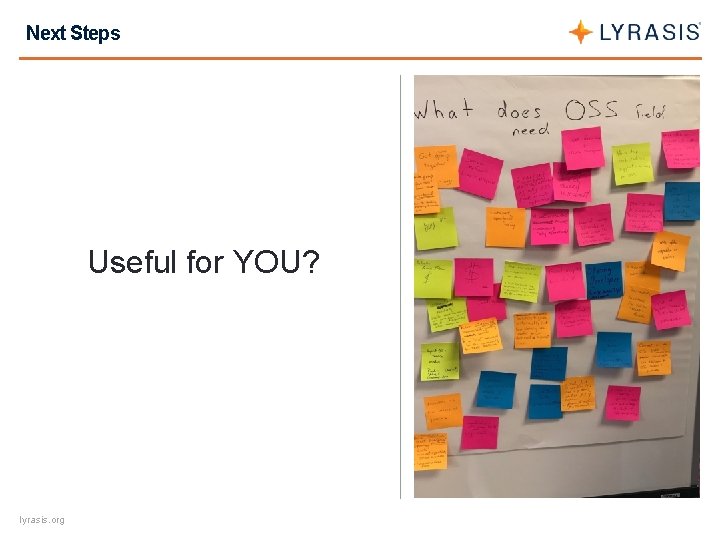 Next Steps Useful for YOU? lyrasis. org 